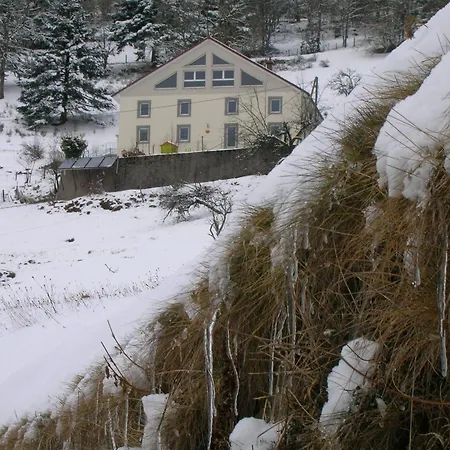 Apartment Familial A Avec Wifi Et Parking - Fr-1-589-84 *