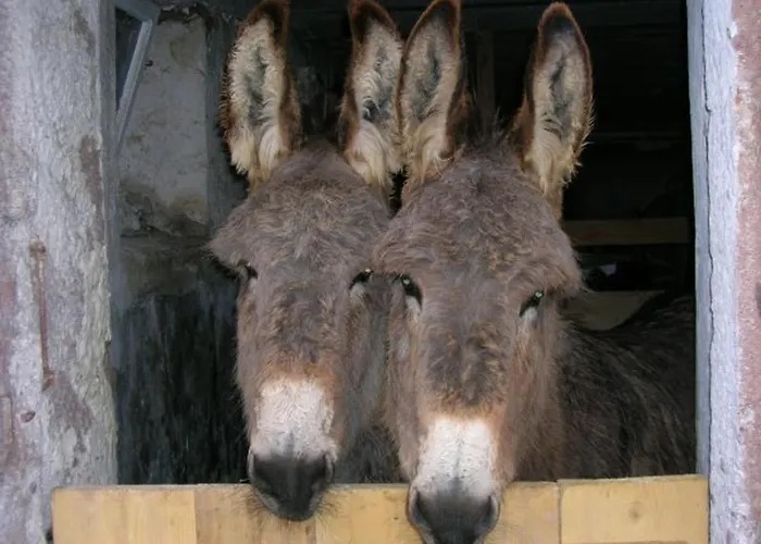 Familial A Avec Wifi Et Parking - Fr-1-589-84 아파트