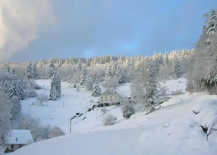 아파트 Familial A Avec Wifi Et Parking - Fr-1-589-84